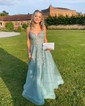 Ball Gown V-neck Tulle Prom Dresses With Appliques