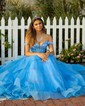 Princess Off-the-shoulder Tulle Ruffle Prom Dresses With Appliques