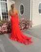 Mermaid V-neck Tulle Prom Dresses With Appliques
