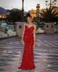 Black Mermaid V-neck Sparkly Velvet Sequin Prom Dresses