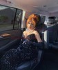 Black Mermaid V-neck Sparkly Velvet Sequin Prom Dresses