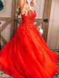 Ball Gown V-neck Tulle Prom Dresses With Appliques
