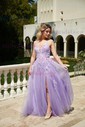 Ball Gown V-neck Tulle Prom Dresses With Appliques