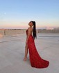 Sheath/Column Scoop Neck Sparkly Velvet Sequin Prom Dresses