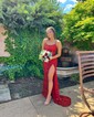 Sheath/Column Scoop Neck Sparkly Velvet Sequin Prom Dresses
