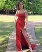 Sheath/Column Scoop Neck Sparkly Velvet Sequin Prom Dresses