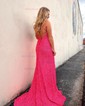 Sheath/Column Scoop Neck Sparkly Velvet Sequin Prom Dresses