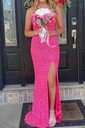 Sheath/Column Scoop Neck Sparkly Velvet Sequin Prom Dresses