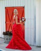Ball Gown Off-the-shoulder Tulle Tiered Prom Dresses With Appliques