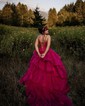 Ball Gown V-neck Tulle Tiered Prom Dresses With Appliques