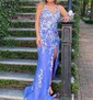 Sheath/Column V-neck Tulle Prom Dresses With Appliques