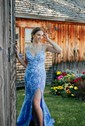 Sheath/Column V-neck Tulle Prom Dresses With Appliques