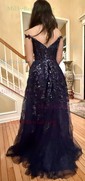 Ball Gown V-neck Tulle Prom Dresses With Appliques
