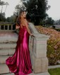 Sheath/Column V-neck Satin Prom Dresses With Appliques