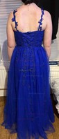 Ball Gown V-neck Tulle Prom Dresses With Appliques