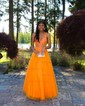Princess V-neck Backless Tulle Prom Dresses With Appliques