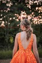 Princess V-neck Backless Tulle Prom Dresses With Appliques