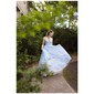 Ball Gown V-neck Floor-length Tulle Prom Dresses