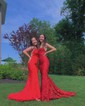 Sheath/Column Scoop Neck Backless Tulle Prom Dresses With Appliques