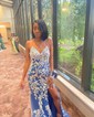 Sheath/Column V-neck Tulle Prom Dresses With Appliques