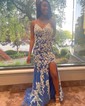 Sheath/Column V-neck Tulle Prom Dresses With Appliques