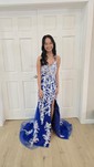 Sheath/Column V-neck Tulle Prom Dresses With Appliques