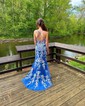 Sheath/Column V-neck Tulle Prom Dresses With Appliques