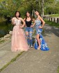 Sheath/Column V-neck Tulle Prom Dresses With Appliques