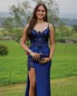 Sheath/Column V-neck Satin Corset Prom Dresses With Appliques
