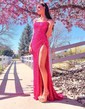 Sheath/Column Scoop Neck Sparkly Sequin Backless Prom Dresses