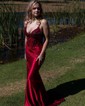 Sheath/Column V-neck Satin Corset Prom Dresses With Appliques