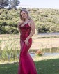 Sheath/Column V-neck Satin Corset Prom Dresses With Appliques