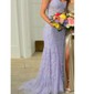 Sheath/Column Sweetheart Tulle Sweep Train Appliques Lace Prom Dresses