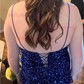 Mermaid Strapless Sparkly Velvet Sequin Prom Dresses