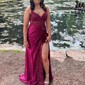 Sheath/Column V-neck Satin Prom Dresses With Appliques