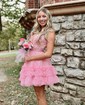 Corset V-neck Glitter Tulle Appliques Skater Homecoming Dresses