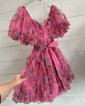 Corset Skater Chiffon Ruffle Homecoming Dresses