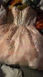 Corset Strapless Tulle Appliques Skater Homecoming Dresses
