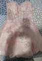 Corset Strapless Tulle Appliques Skater Homecoming Dresses