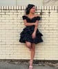 Corset Off-the-shoulder Taffeta Skater Tiered Homecoming Dresses