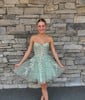 Corset Strapless Tulle Appliques Skater Homecoming Dresses