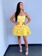 Corset Skater Straight Satin Tiered Homecoming Dresses