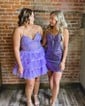 Corset V-neck Glitter Tulle Skater Tiered Homecoming Dresses