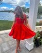 Simple Scoop Neck Satin Skater Homecoming Dresses