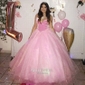 Ball Gown/Princess Sweep Train V-neck Organza Velvet Prom Dresses