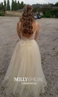 Ball Gown V-neck Floor-length Tulle Prom Dresses With Appliques
