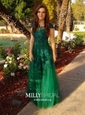 A-line Scoop Neck Tulle Floor-length Appliques Lace Prom Dresses