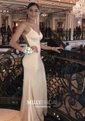 Sheath/Column V-neck Jersey Backless Prom Dresses With Ruched