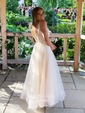 Ball Gown V-neck Floor-length Tulle Prom Dresses With Appliques