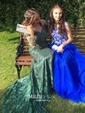 Mermaid Illusion Long Sleeves Lace Prom Dresses With Appliques